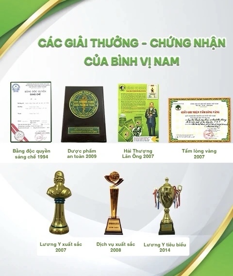 Các giải thưởng chứng nhận của Bình Vị Nam